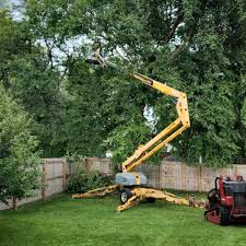 Artificial Turf Installation in Willoughby, OH
